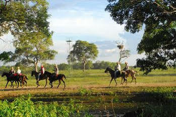 Southwild Pantanal Lodge Poconé Exterior foto